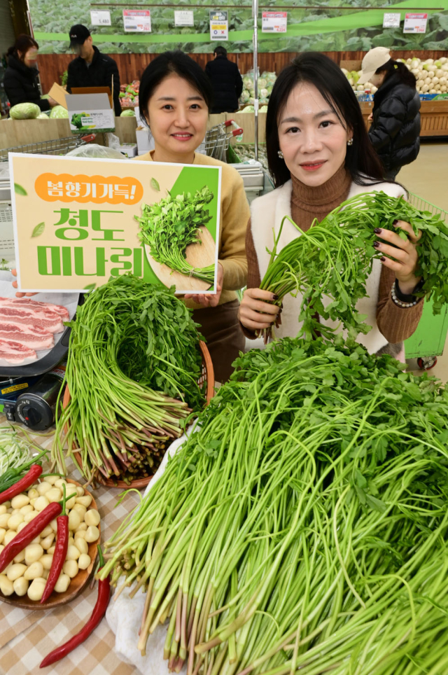 청도농업협동조합 이미지