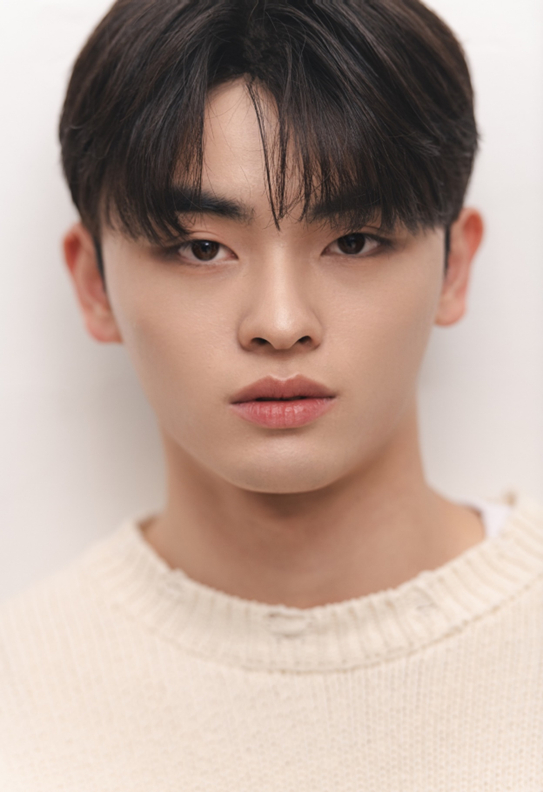 메타 이미지