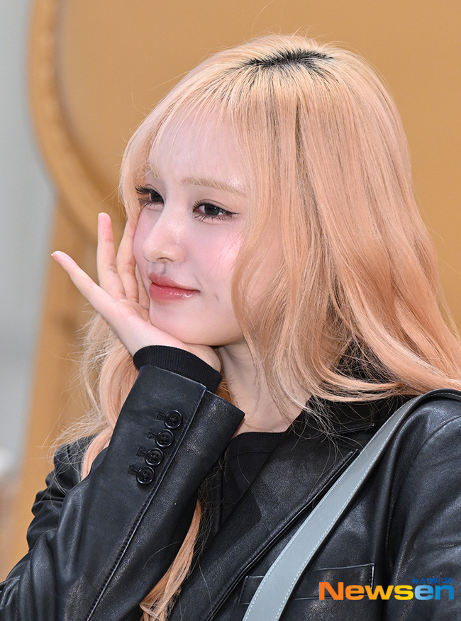 리즈 이미지
