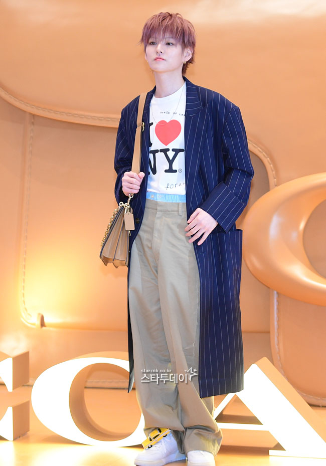 요시 이미지