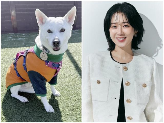 비엔씨네트워크 이미지