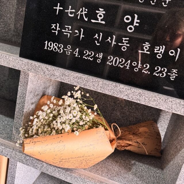 엘리미디어 이미지