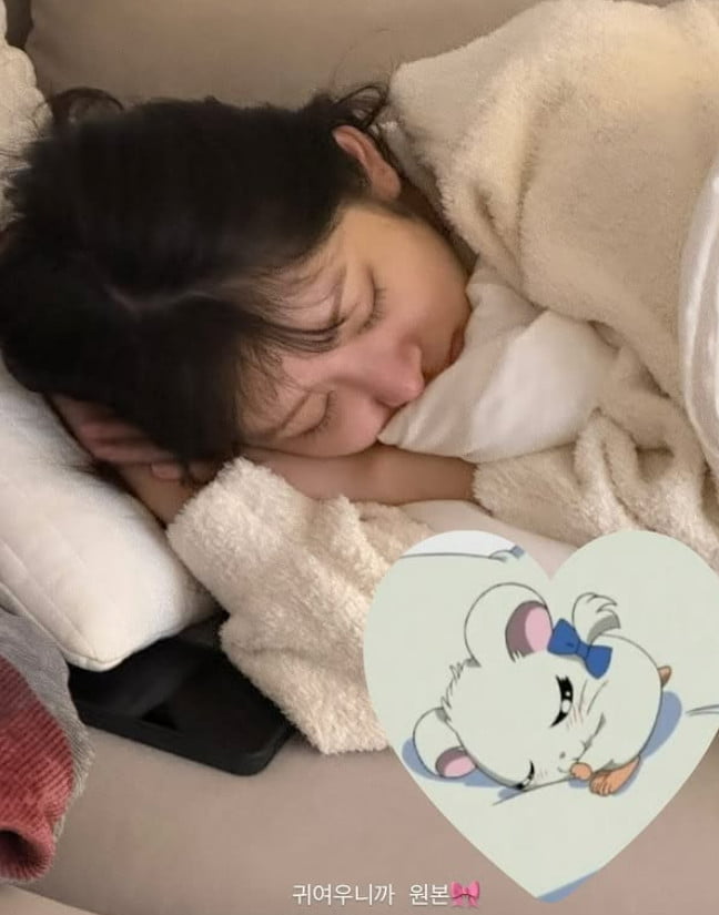 조이 이미지