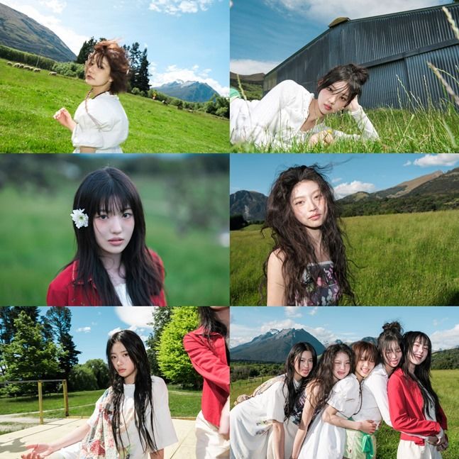 프리24 이미지