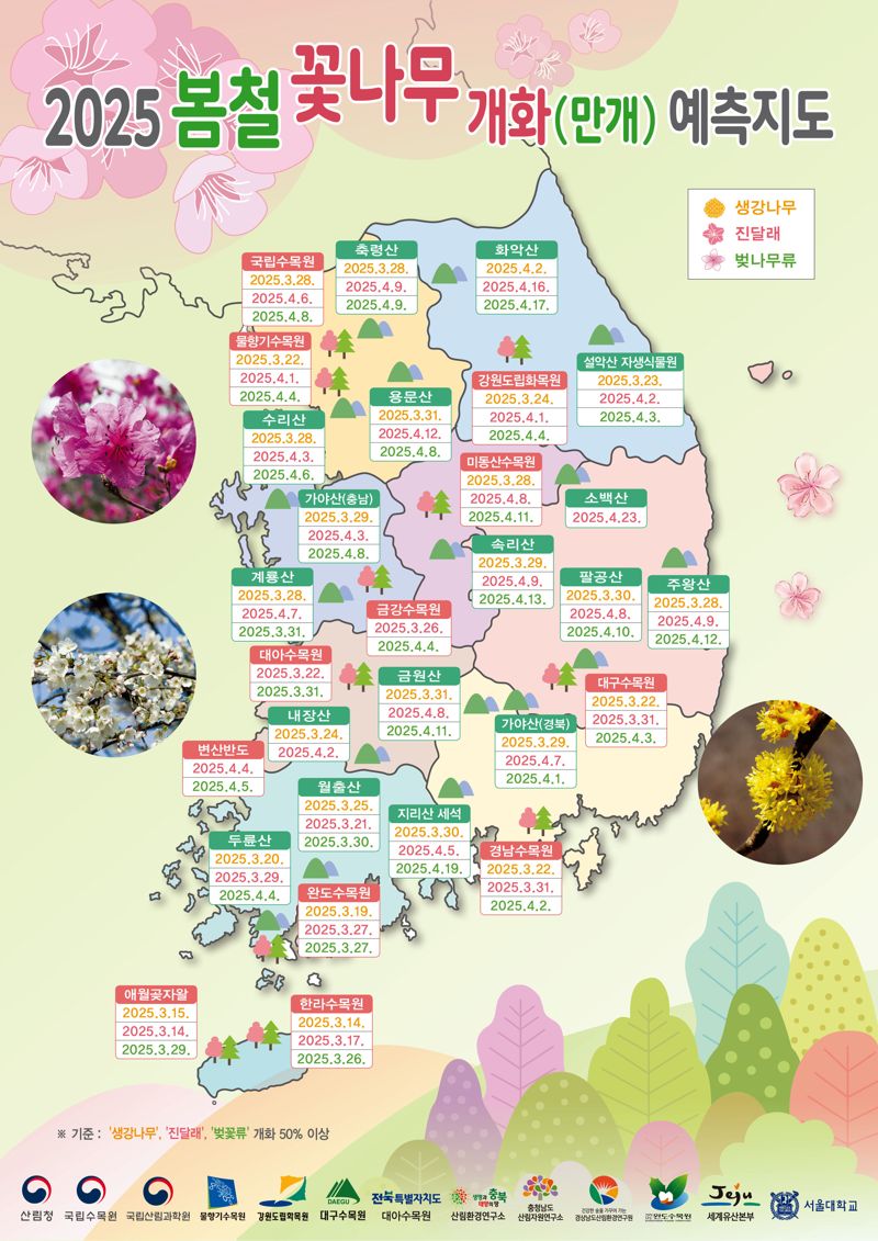 개화 이미지
