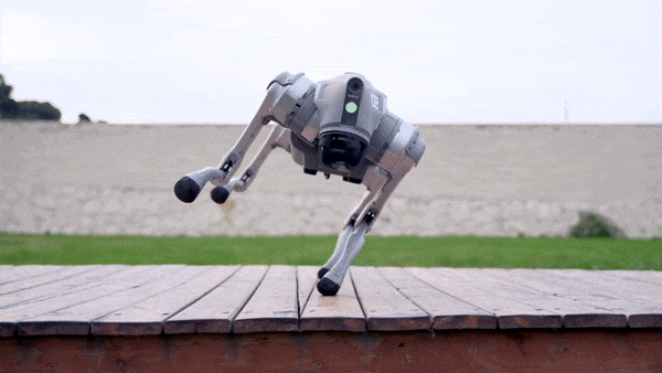 유니트리의 로봇개 Go2/사진=유니트리 홈페이지