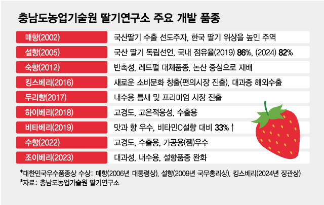 베리 이미지