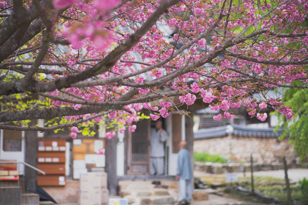 돌담여행사 이미지