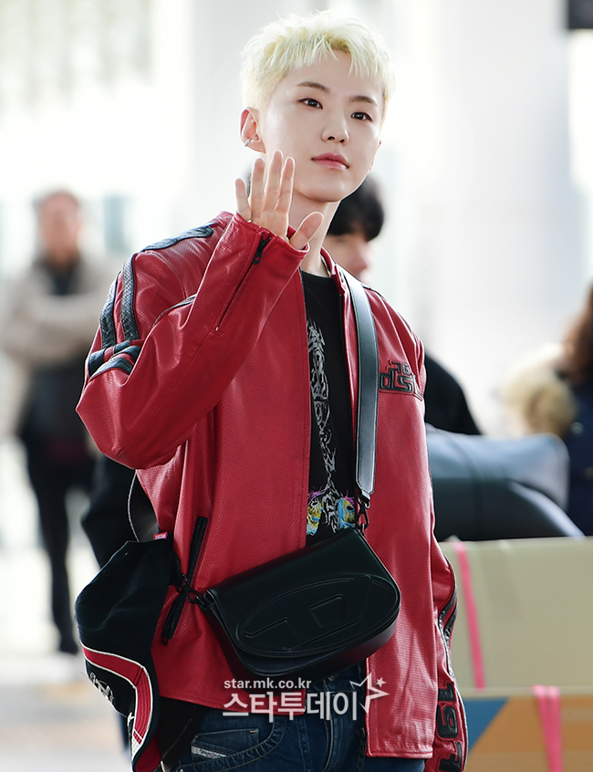 호시 이미지