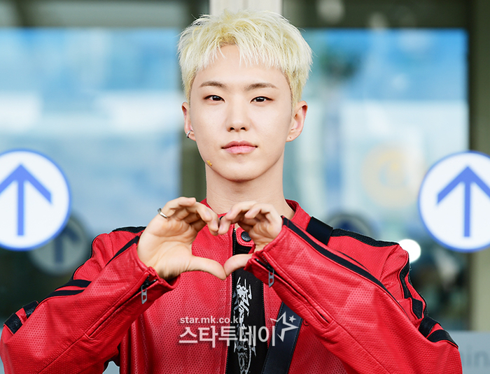 호시 이미지