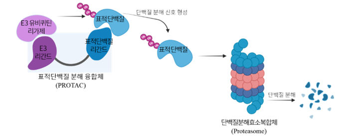 와이 이미지