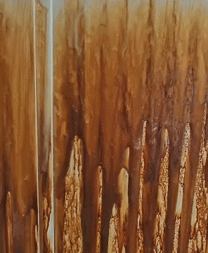 한 청소업체가 담배로 찌든 집안을 청소하는 모습