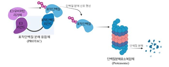 유빅스 이미지