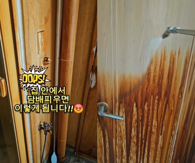 두손청소 이미지