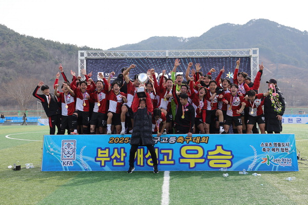 개성고등학교 이미지