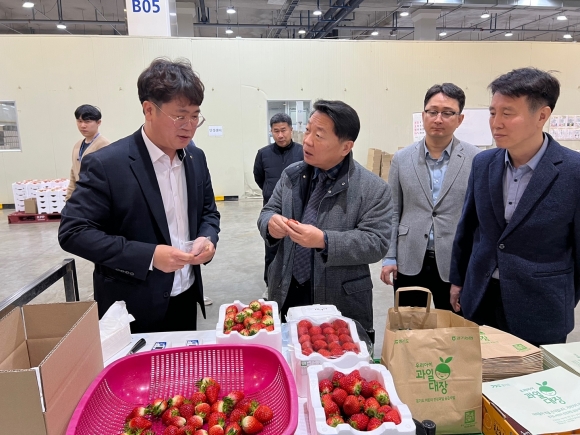 농협안성농식품물류센터 이미지