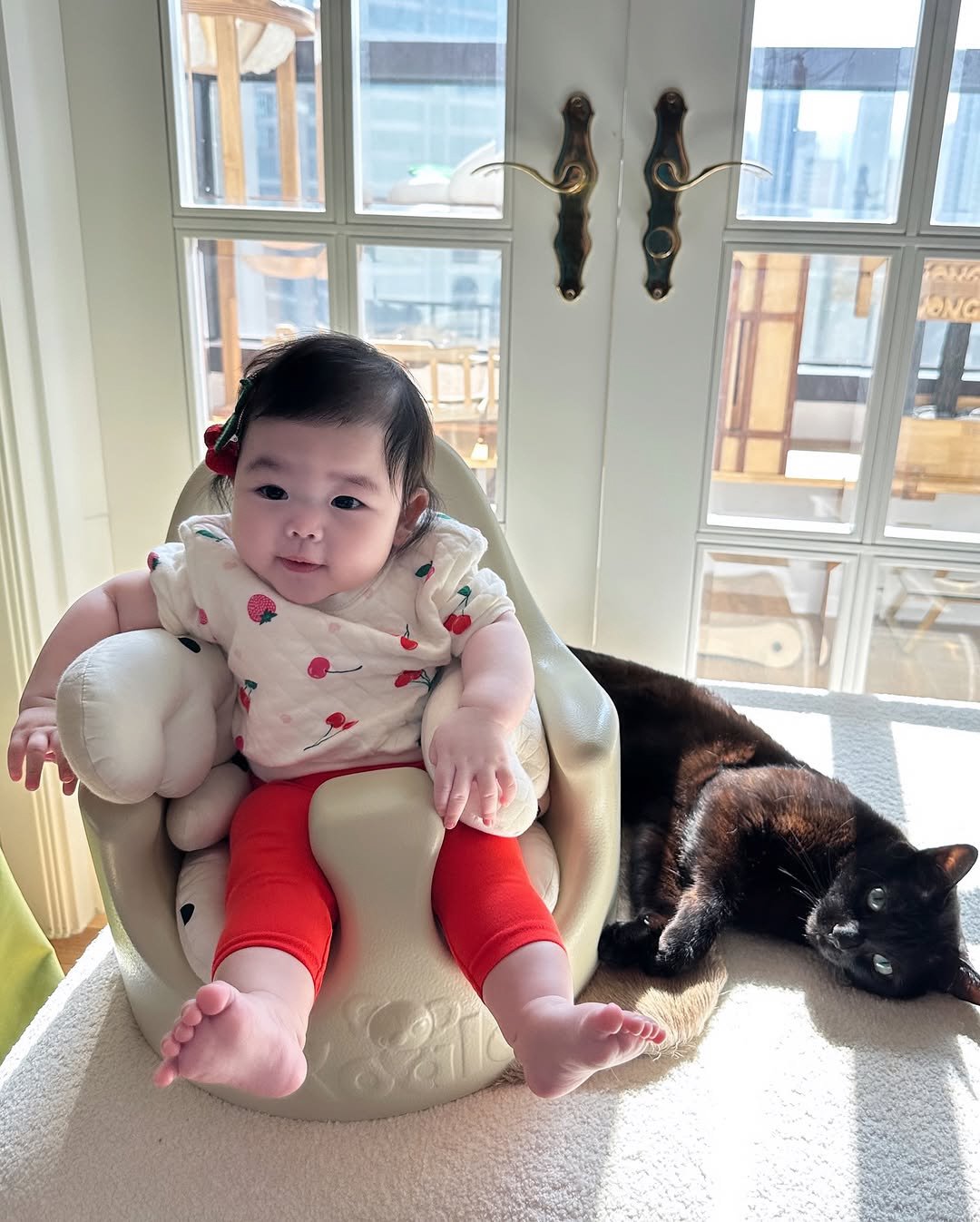 다홍 이미지