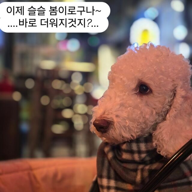 알렉스 이미지