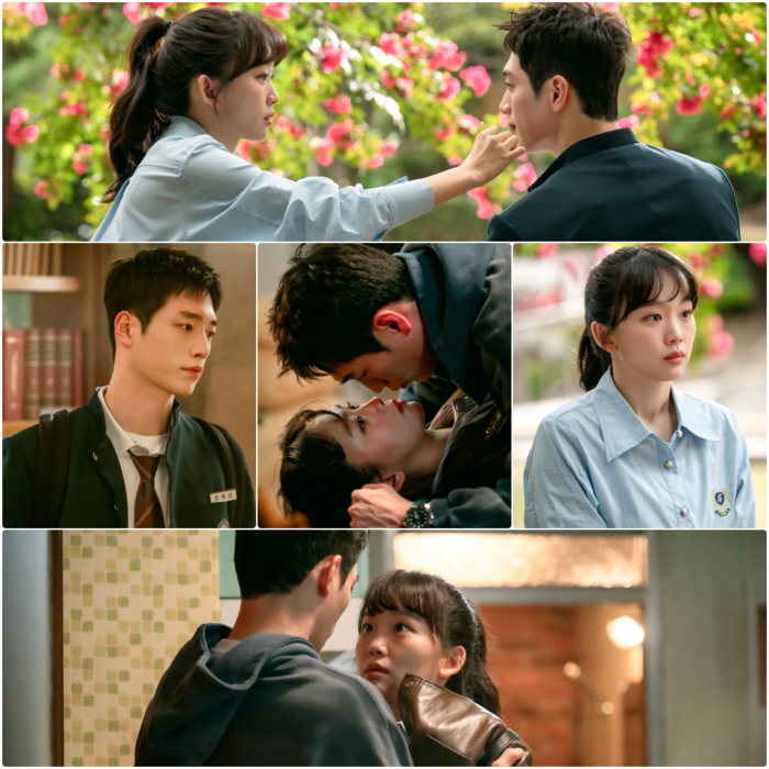 달달해 이미지