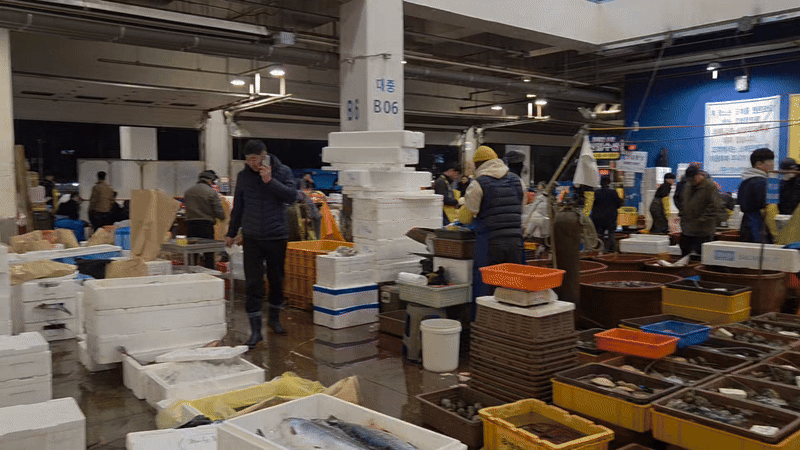 28일 오전 6시 30분 노란색과 회색 비니를 쓴 아프리카에서 온 노동자들이 노량진수산시장에서 일하는 모습. /사진=이민형 기자