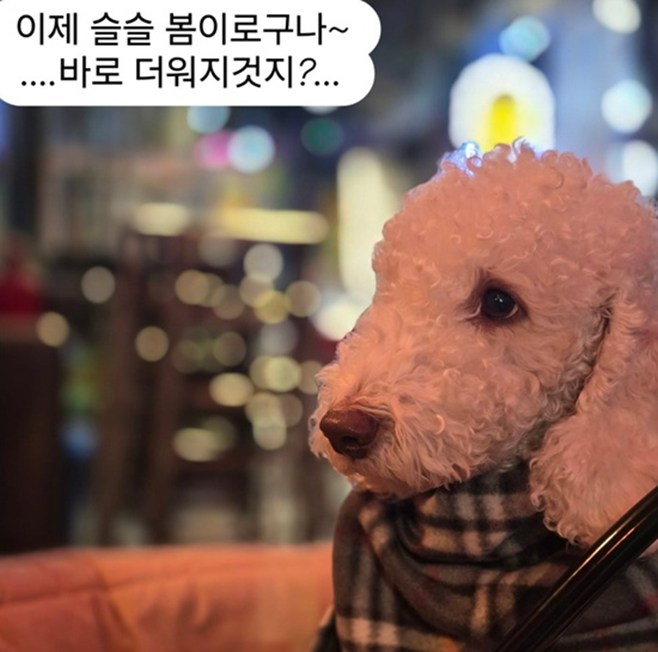 알렉스 이미지
