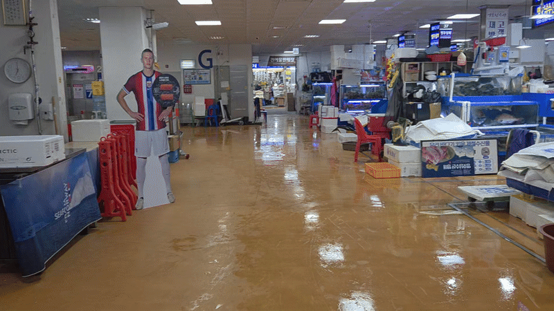 2월 28일 서울 동작구 노량진수산시장 내부 모습. /영상=이민형 기자