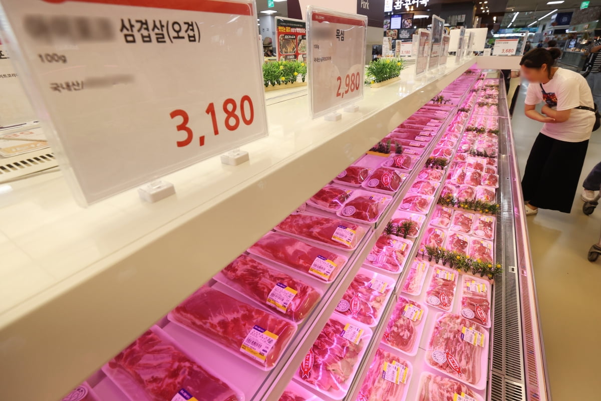 고기는 이미지