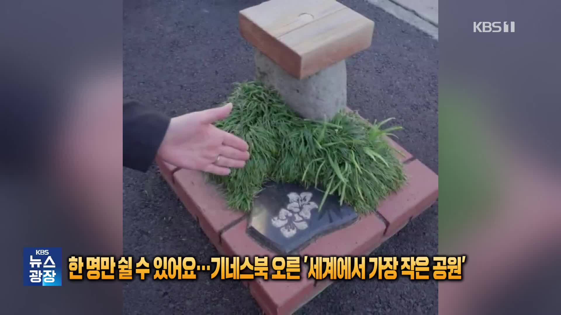한 명만 쉴 수 있어요…기네스북 오른 ‘세계에서 가장 작은 공원’ [잇슈 SNS]