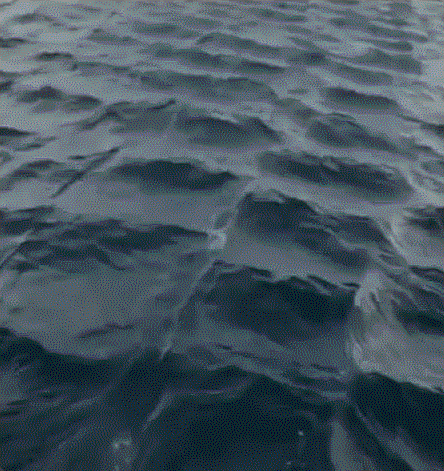 튀르키예 에게해에서 포착된 사각파. 엑스 캡처