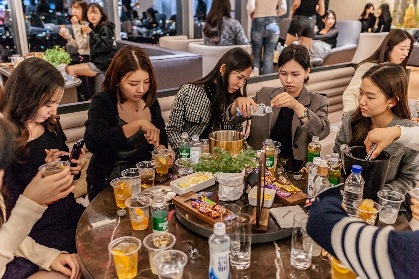 윈저 이미지