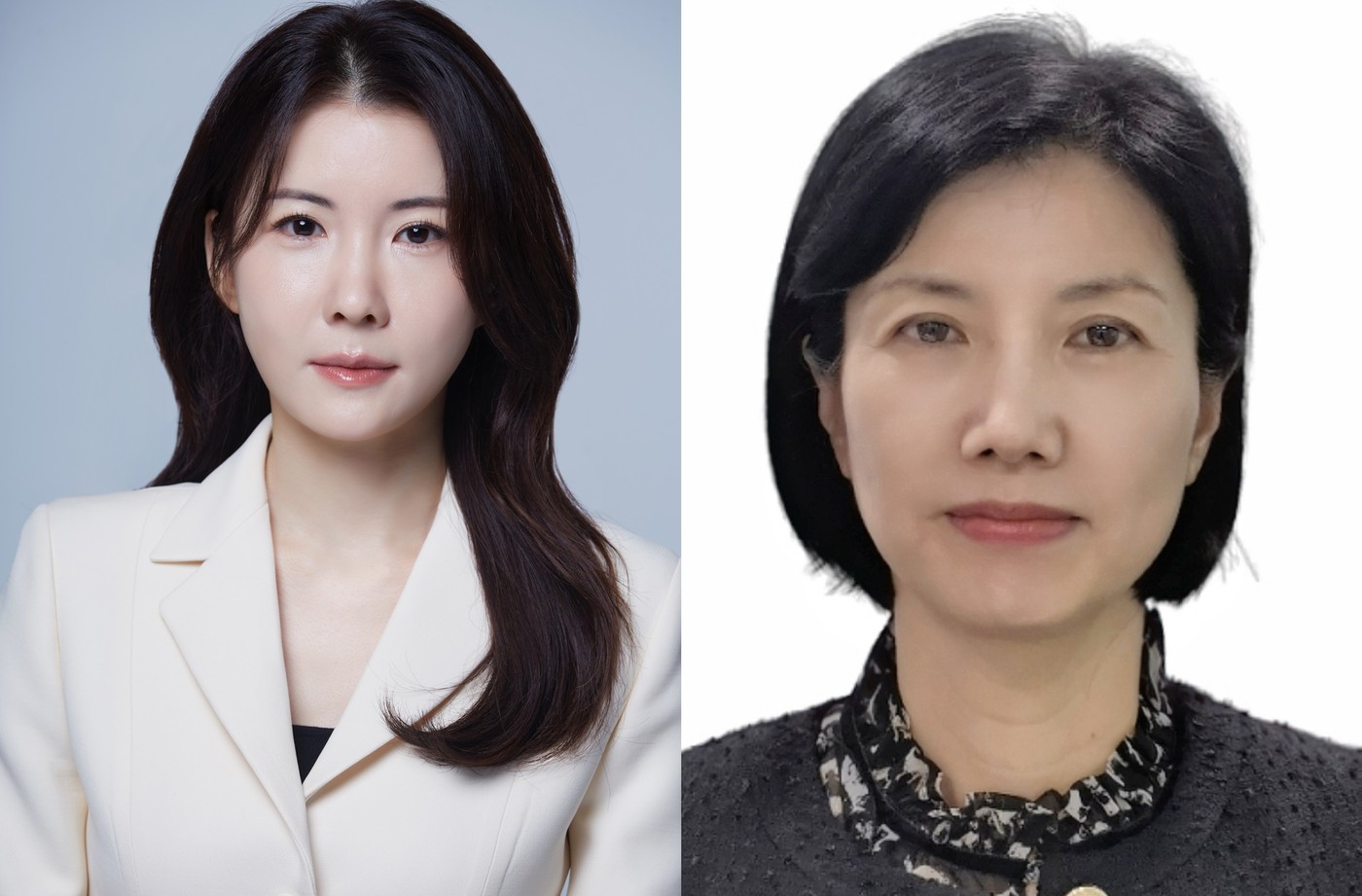 리드인 이미지