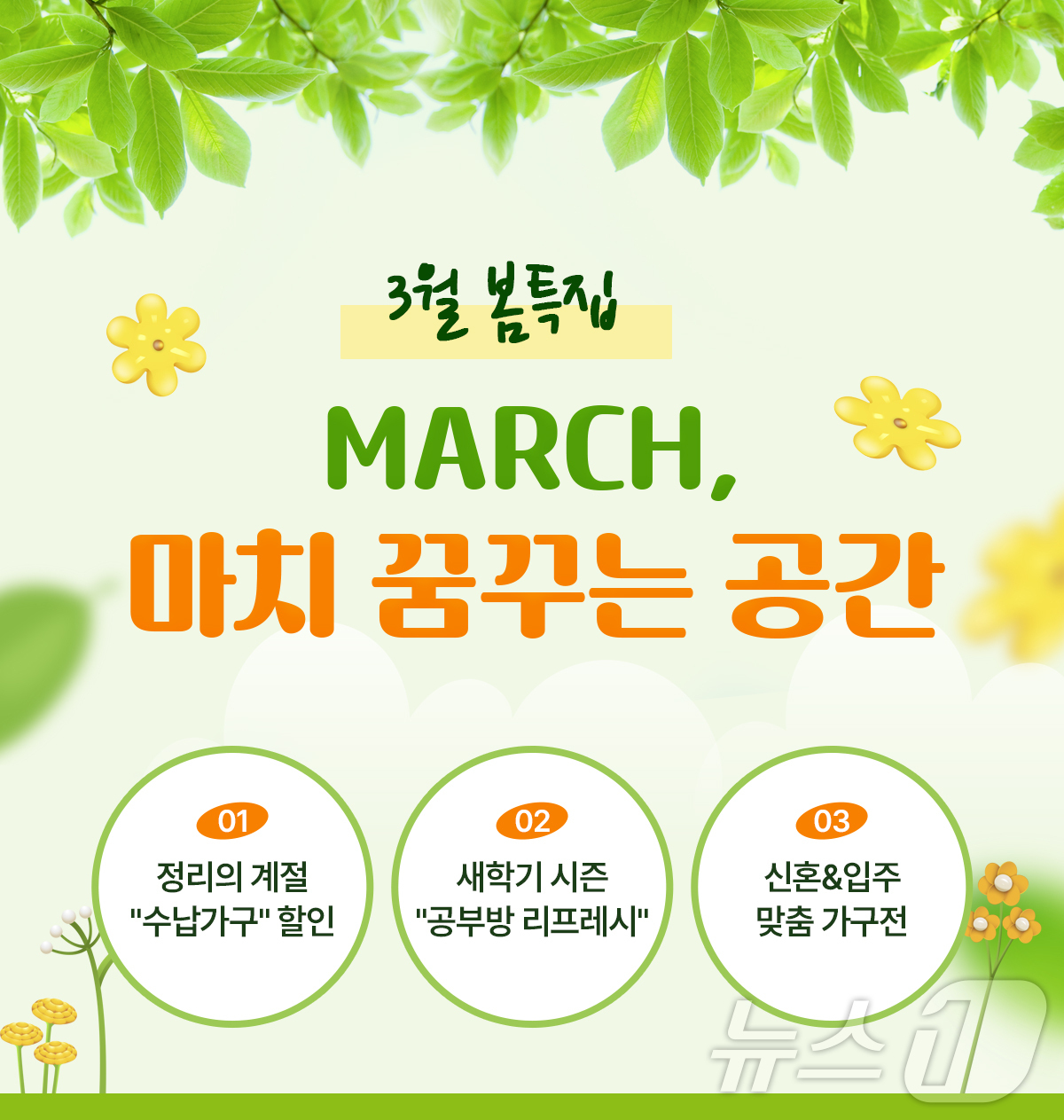 에넥스스토어 이미지