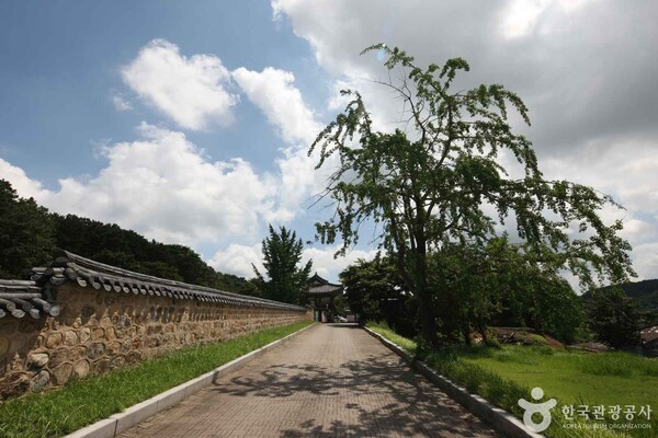 (주)부여관광 이미지