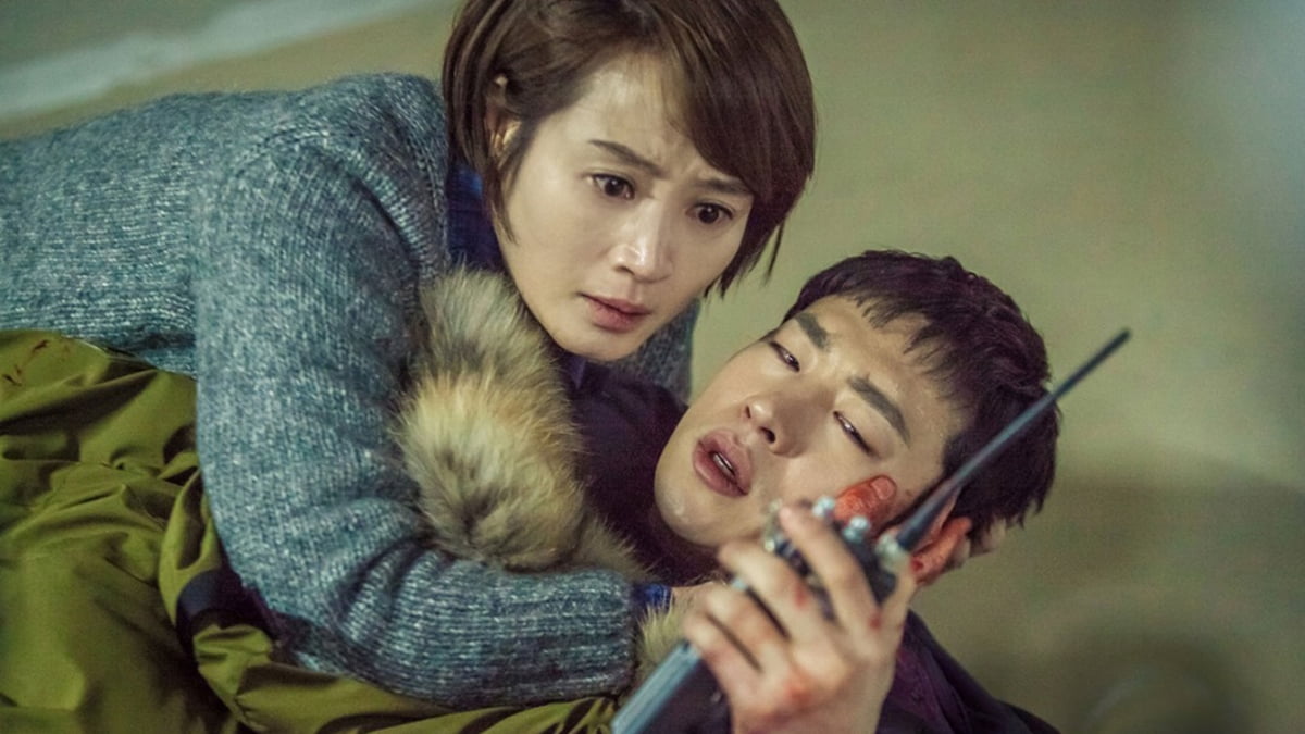 시그널 이미지