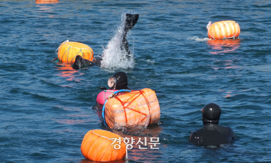 해녀랑 이미지