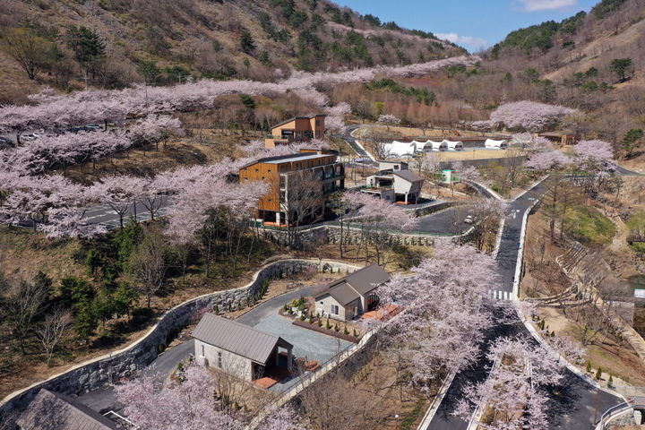 월아산 자연휴양림 이미지
