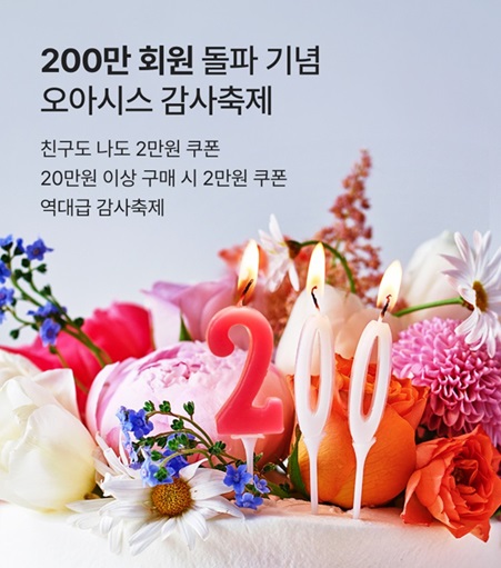 오아시스 이미지