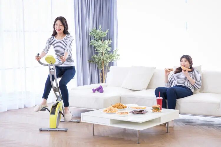 사진하는사람 이미지