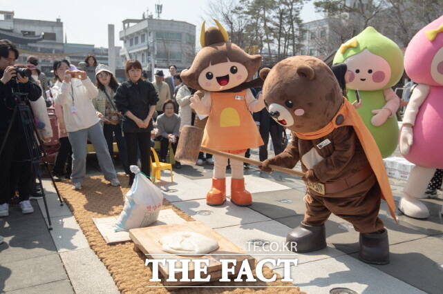 공주 이미지