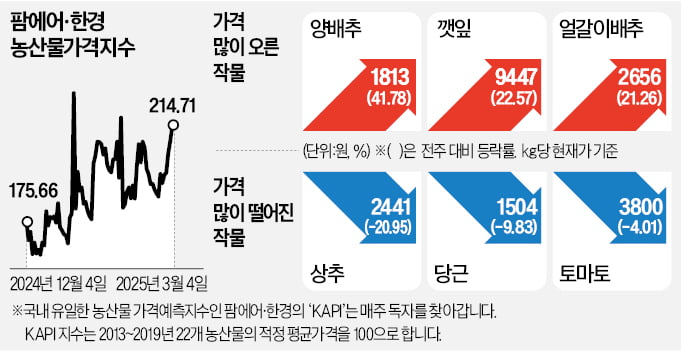 인하로 이미지