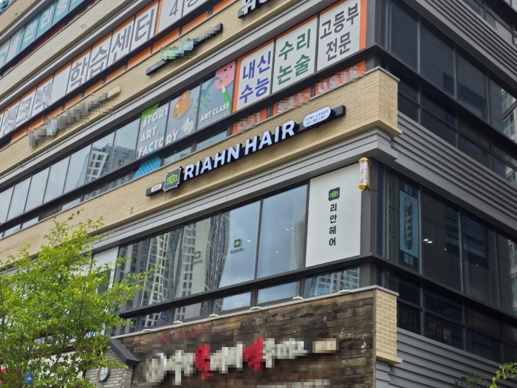 리안헤어 이미지