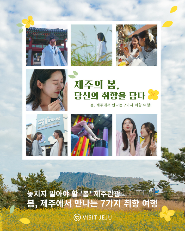 제주네 이미지
