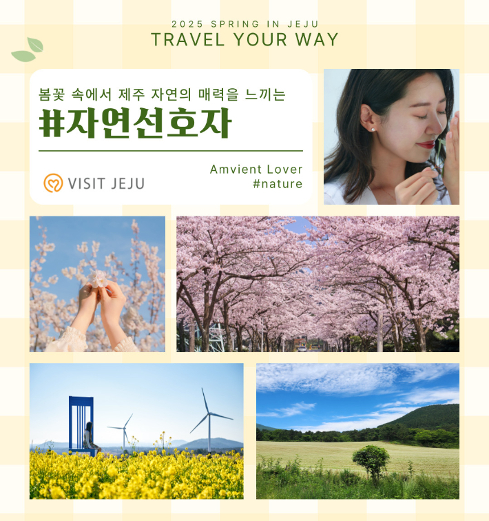 한라봉관광 이미지