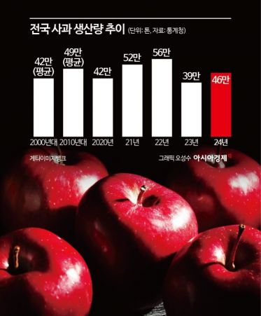 사치 이미지