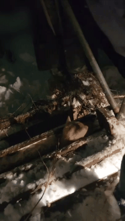 나 소장과 인근에 살던 남성 주민이 힘을 합쳐 파이프를 이용해 철근 사이를 벌리고 있다. 나성균씨 제공