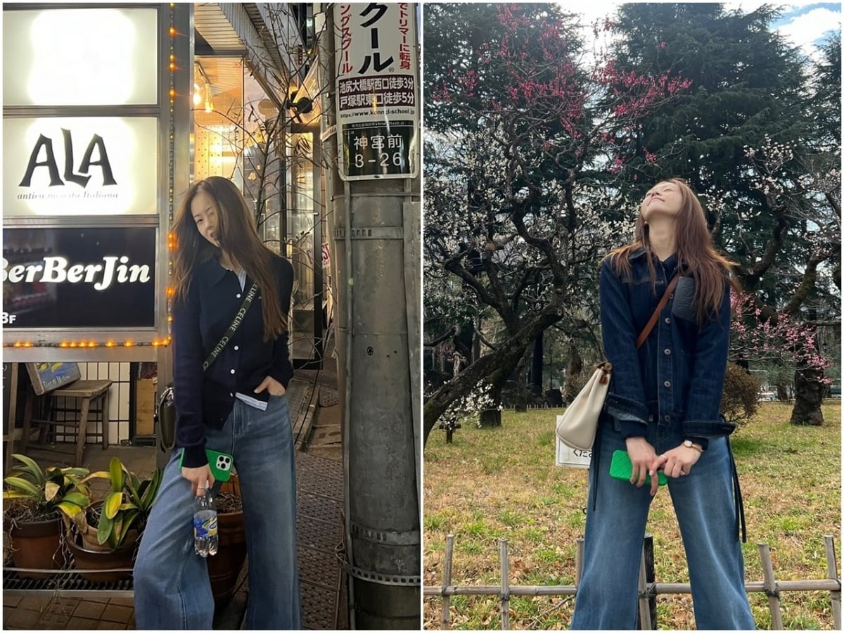고아라 이미지