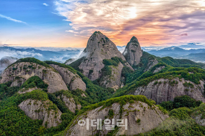 고려관광여행사 이미지