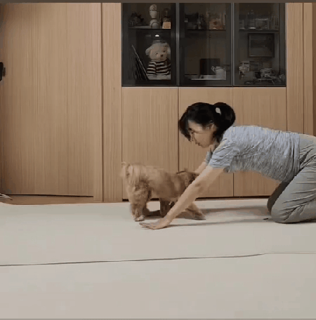 요가 따라하는 밤토리 (인스타그램 @bam__tr 제공) ⓒ 뉴스1