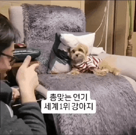 밤토리의 총 맞는 연기 (인스타그램 @bam__tr 제공) ⓒ 뉴스1