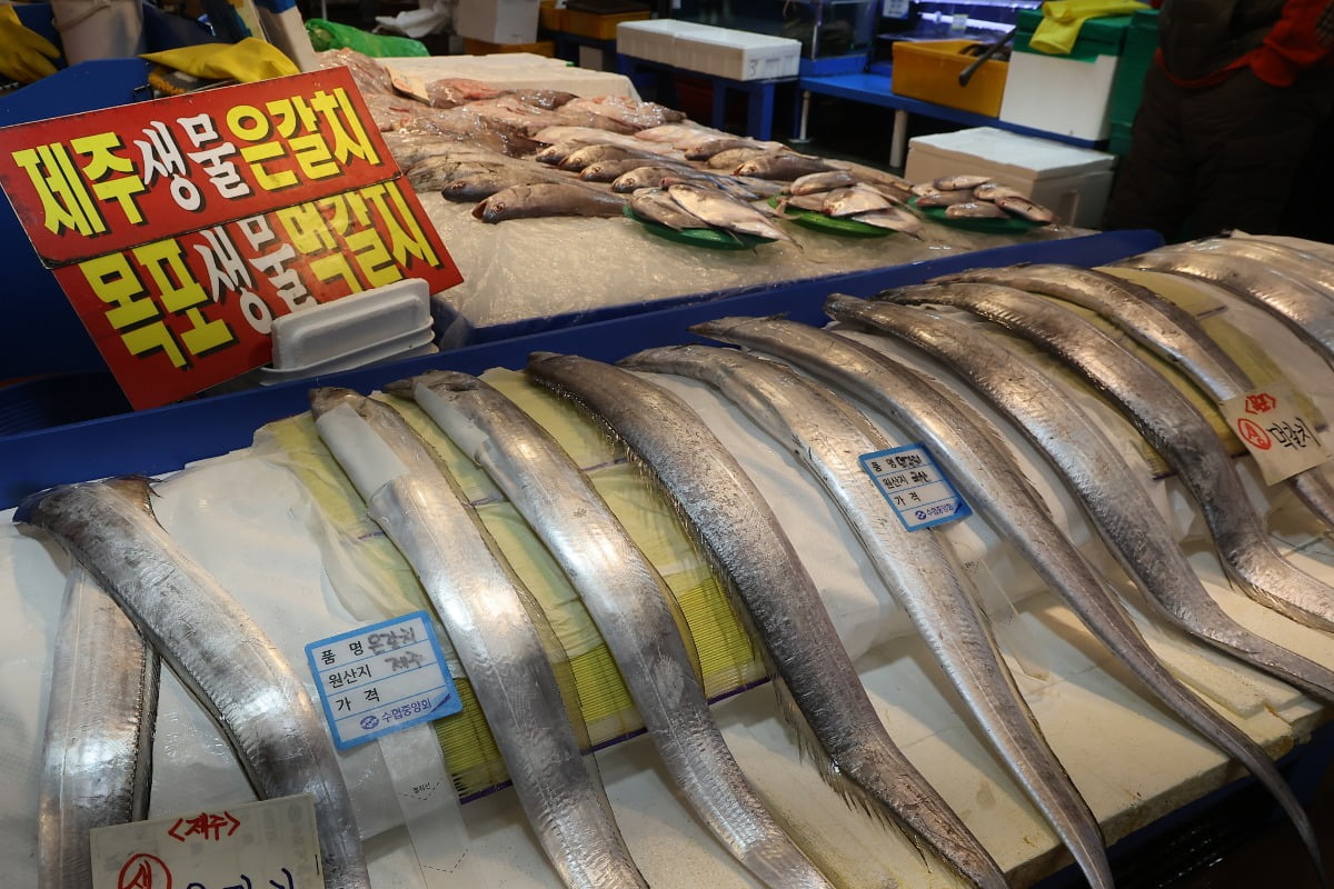 제주시수산업협동조합 이미지